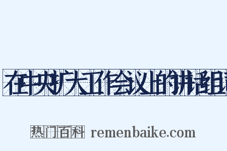 在中央扩大工作会议上的讲话组词是什么意思的图片